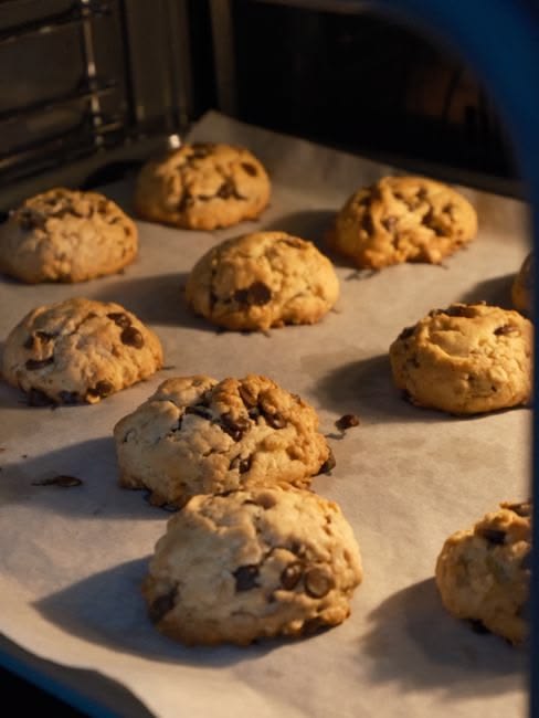 Warm chocolate chip cookies fresh from the oven